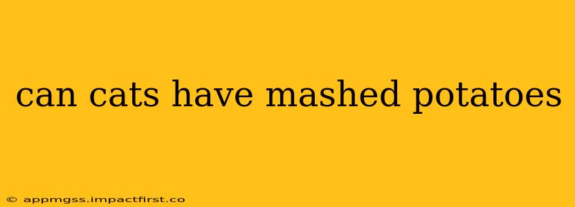can cats have mashed potatoes