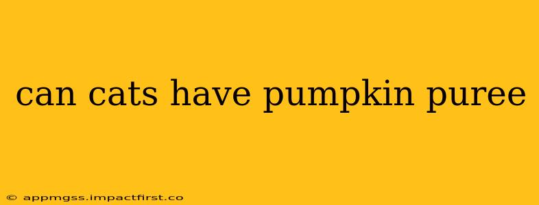 can cats have pumpkin puree