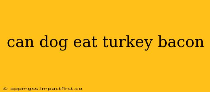 can dog eat turkey bacon