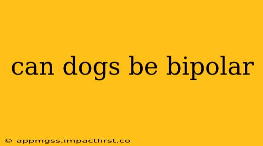 can dogs be bipolar