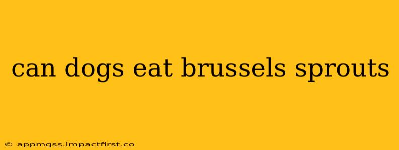 can dogs eat brussels sprouts