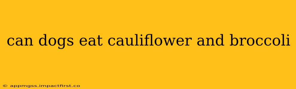 can dogs eat cauliflower and broccoli