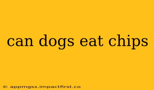 can dogs eat chips
