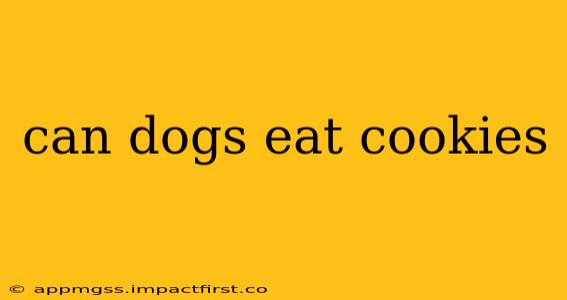 can dogs eat cookies