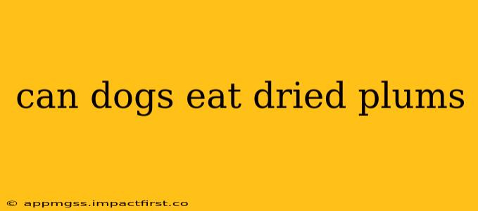 can dogs eat dried plums
