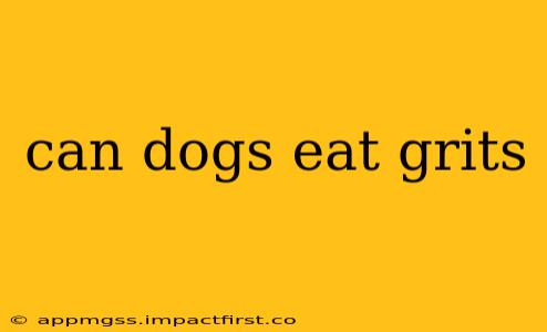 can dogs eat grits