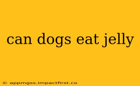 can dogs eat jelly