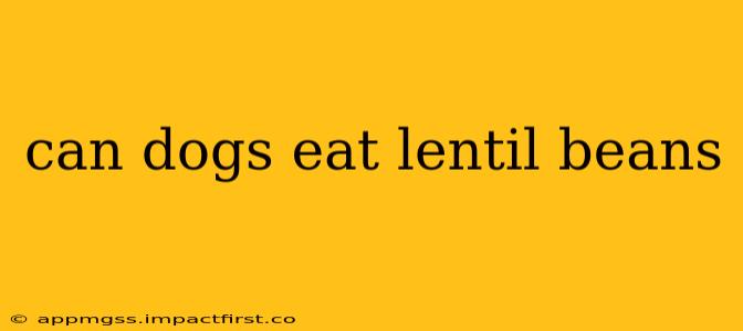 can dogs eat lentil beans
