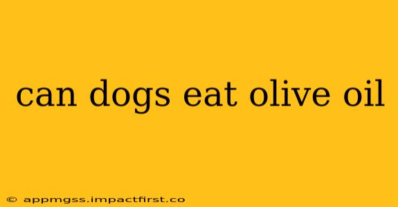 can dogs eat olive oil