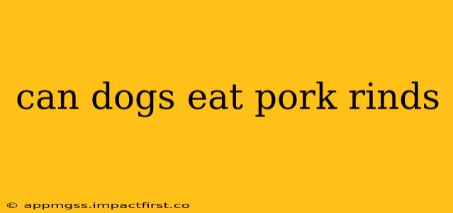 can dogs eat pork rinds