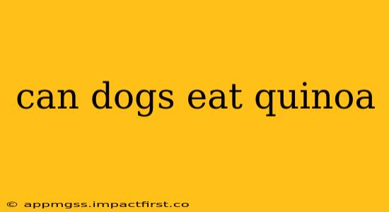 can dogs eat quinoa