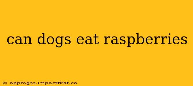 can dogs eat raspberries