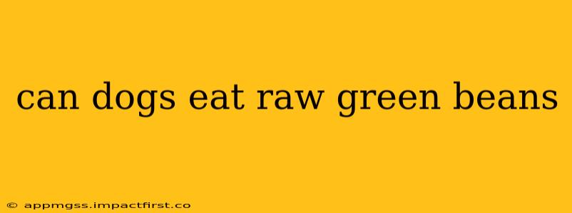 can dogs eat raw green beans