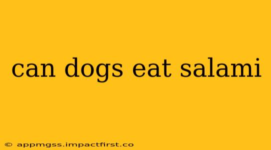 can dogs eat salami