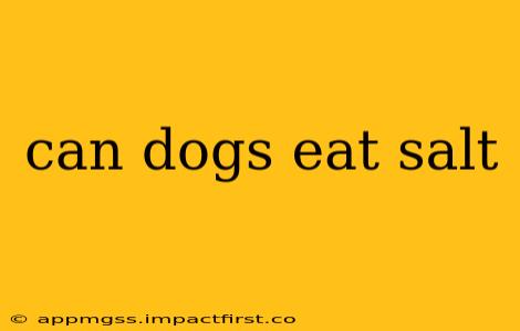 can dogs eat salt