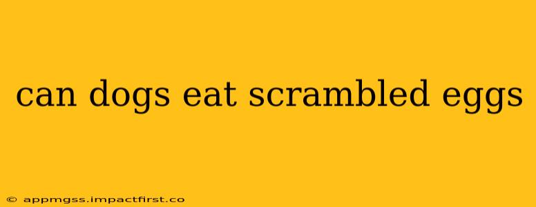 can dogs eat scrambled eggs