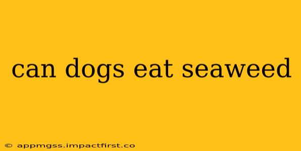 can dogs eat seaweed