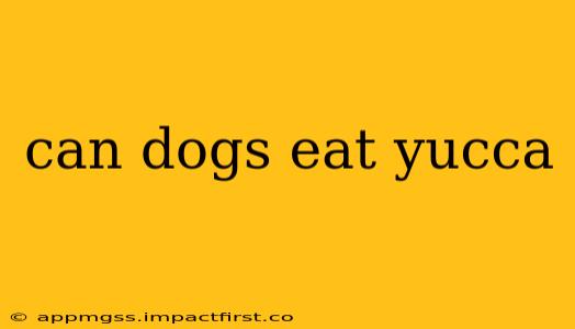can dogs eat yucca