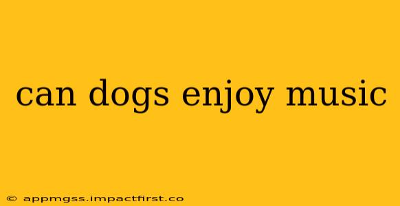can dogs enjoy music