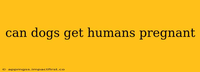 can dogs get humans pregnant