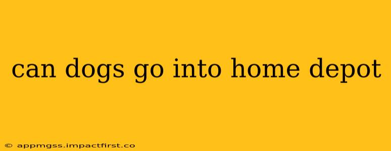 can dogs go into home depot