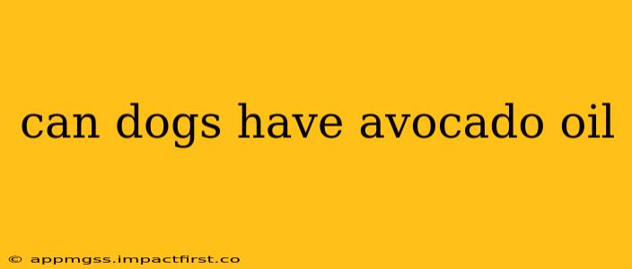 can dogs have avocado oil