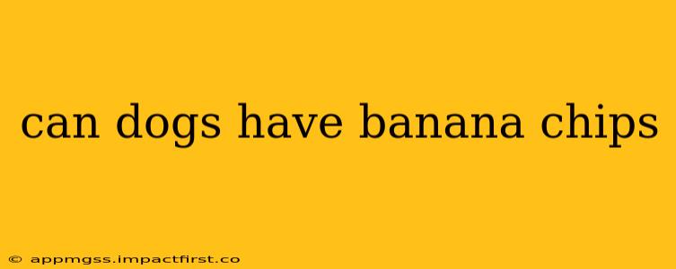 can dogs have banana chips