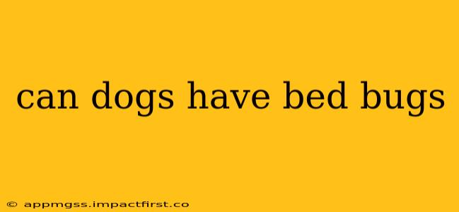 can dogs have bed bugs