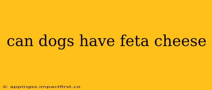 can dogs have feta cheese