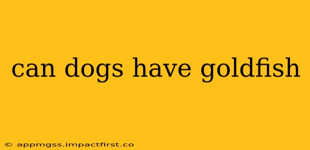 can dogs have goldfish