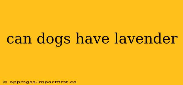 can dogs have lavender
