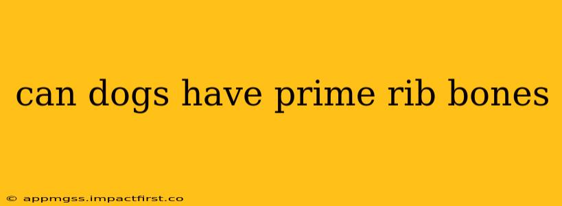 can dogs have prime rib bones