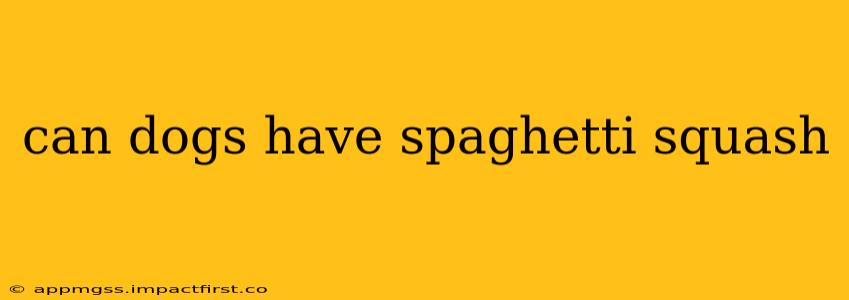 can dogs have spaghetti squash