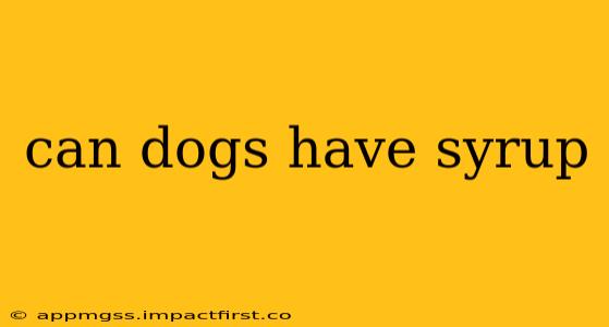 can dogs have syrup