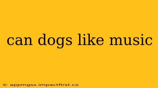 can dogs like music