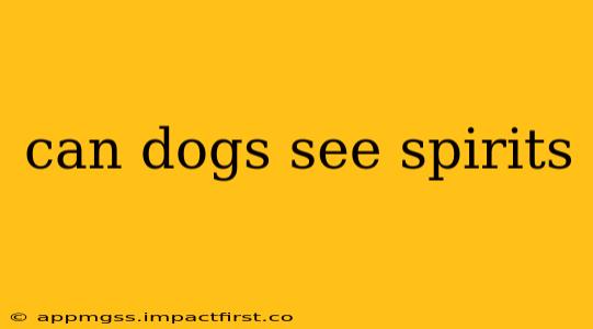 can dogs see spirits