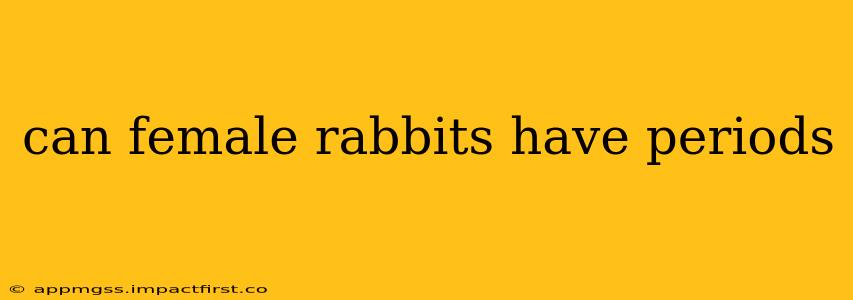 can female rabbits have periods