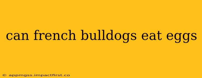 can french bulldogs eat eggs