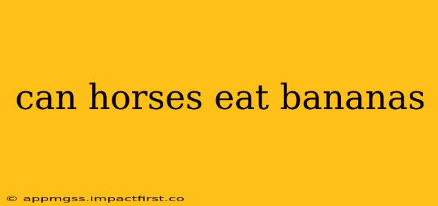 can horses eat bananas