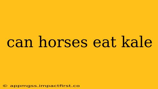 can horses eat kale