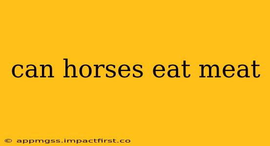 can horses eat meat