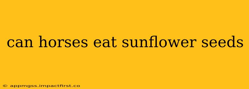 can horses eat sunflower seeds