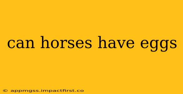 can horses have eggs