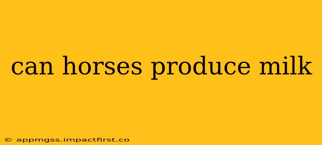 can horses produce milk
