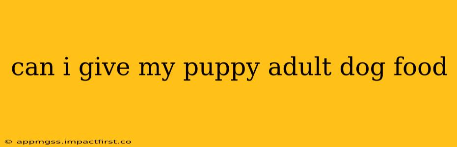 can i give my puppy adult dog food