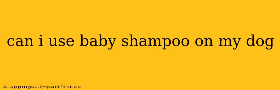 can i use baby shampoo on my dog