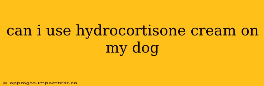 can i use hydrocortisone cream on my dog