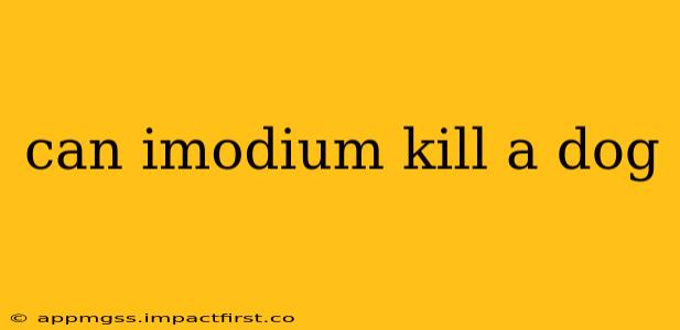 can imodium kill a dog