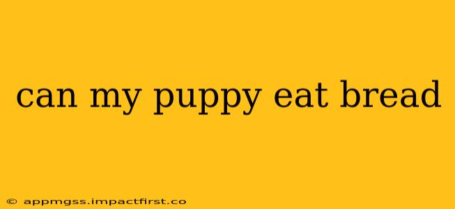 can my puppy eat bread