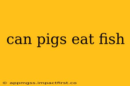 can pigs eat fish